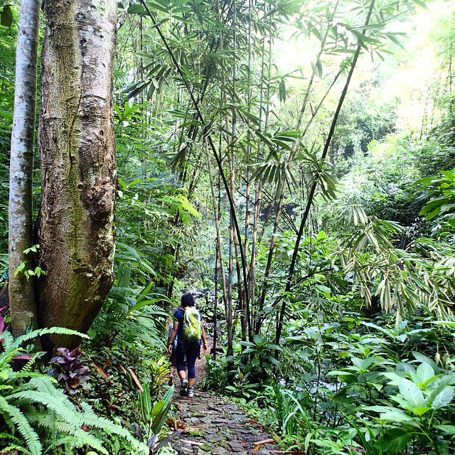 treking keliling desa munduk foto keliling desa munduk