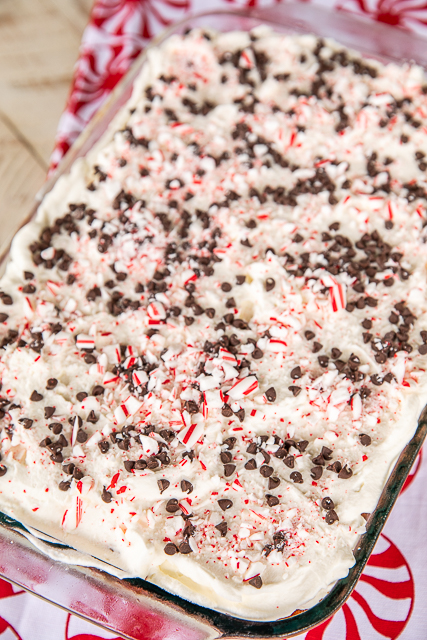 Peppermint Chocolate Chip Tres Leches Cake - dangerously delicious! Great for all your upcoming holiday parties!! Yellow cake mixed baked with candy canes and chocolate chips then soaked in three milks - sweetened condensed milk, half-and-half and evaporated milk. Top cake with whipped cream and more candy canes and chocolate chips. We could not stop eating this delicious cake! #dessert #peppermint #chocolatechips #candycakes #cake Peppermint Chocolate Chip Tres Leches Cake - dangerously delicious! Great for all your upcoming holiday parties!! Yellow cake mixed baked with candy canes and chocolate chips then soaked in three milks - sweetened condensed milk, half-and-half and evaporated milk. Top cake with whipped cream and more candy canes and chocolate chips. We could not stop eating this delicious cake! #dessert #peppermint #chocolatechips #candycakes #cake