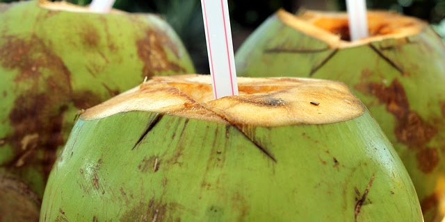 Inilah 13 Manfaat Luar Biasa Air Kelapa Bagi Kesehatan dan Kecantikan