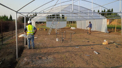 cape south eastern greenhouse africa tunnels farming vegetable west north london mpumalanga hydroponic western limpopo tunnel northern east plastic garden