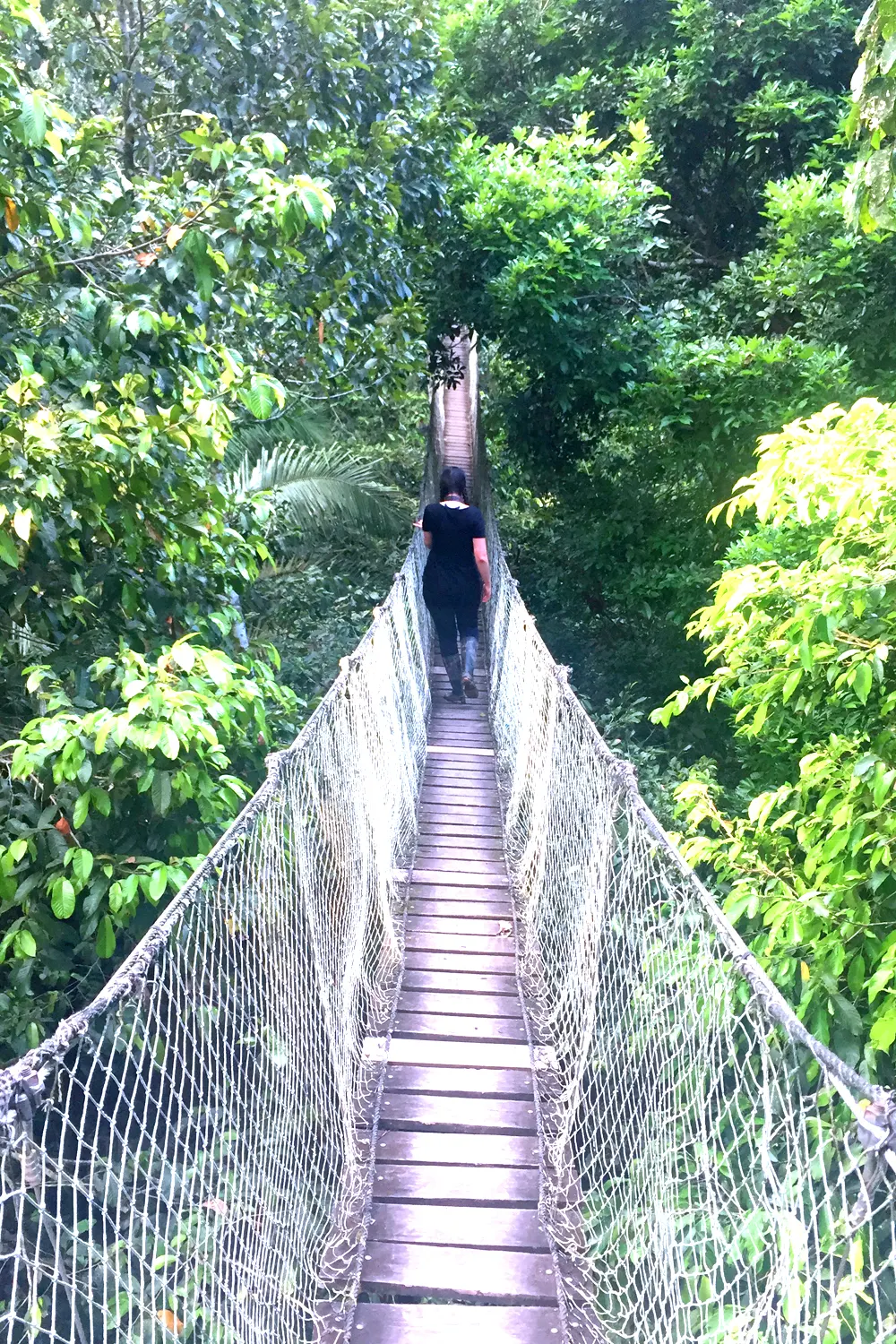 Treetop canopy at the Inkaterra Reserva Amazonica Lodge, Peru - travel & lifestyle blog