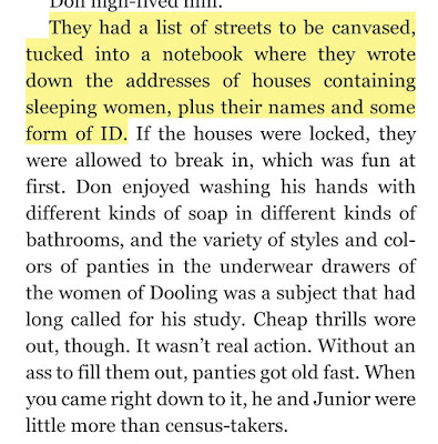 They had a list of streets to be canvased, tucked into a notebook where they wrote down the addresses of houses containing sleeping women, plus their names and some form of ID.