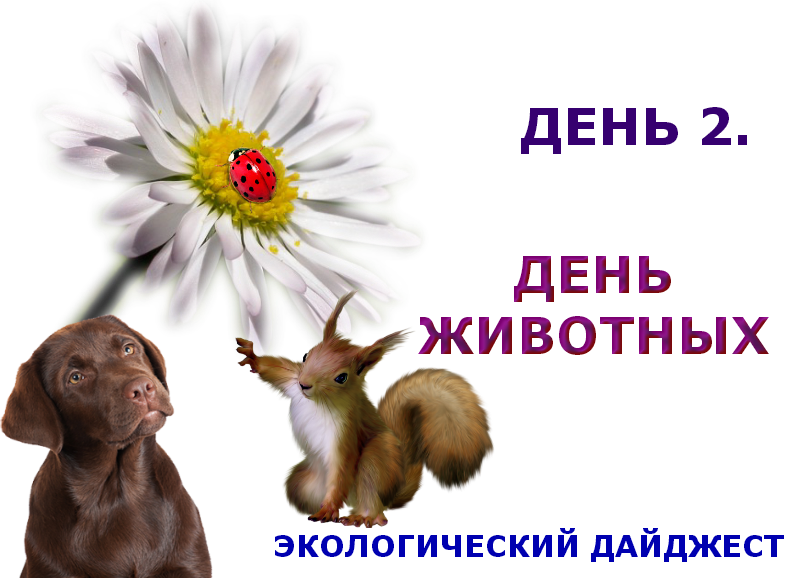 День зверя