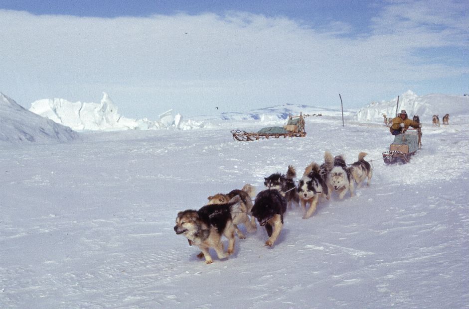 Bob McKerrow Wayfarer Dog sledding in the Arctic and Antarctic