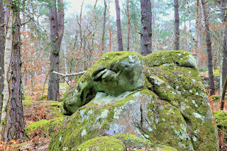 Le Dromadaire, Gorges d'Apremont, Fontainebleau Le Dromadaire, Gorges d'Apremont, Fontainebleau