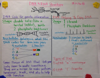 mrs paul biology biology 2016 2017 charts notes venn diagram of prokaryotic cells and eukaryotic cells