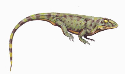 reptiles de hace 300 millones de años Haptodus