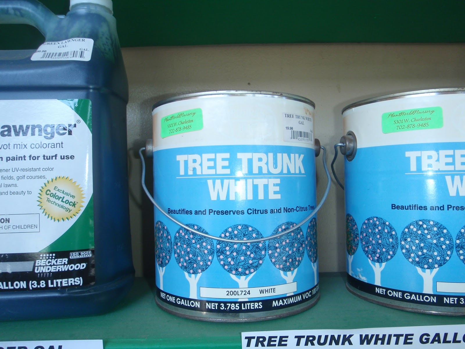 Viragrow Delivers! Properties and Uses of Whitewash Paint