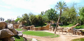 Bioparc Valencia. Bioparc Valencia.