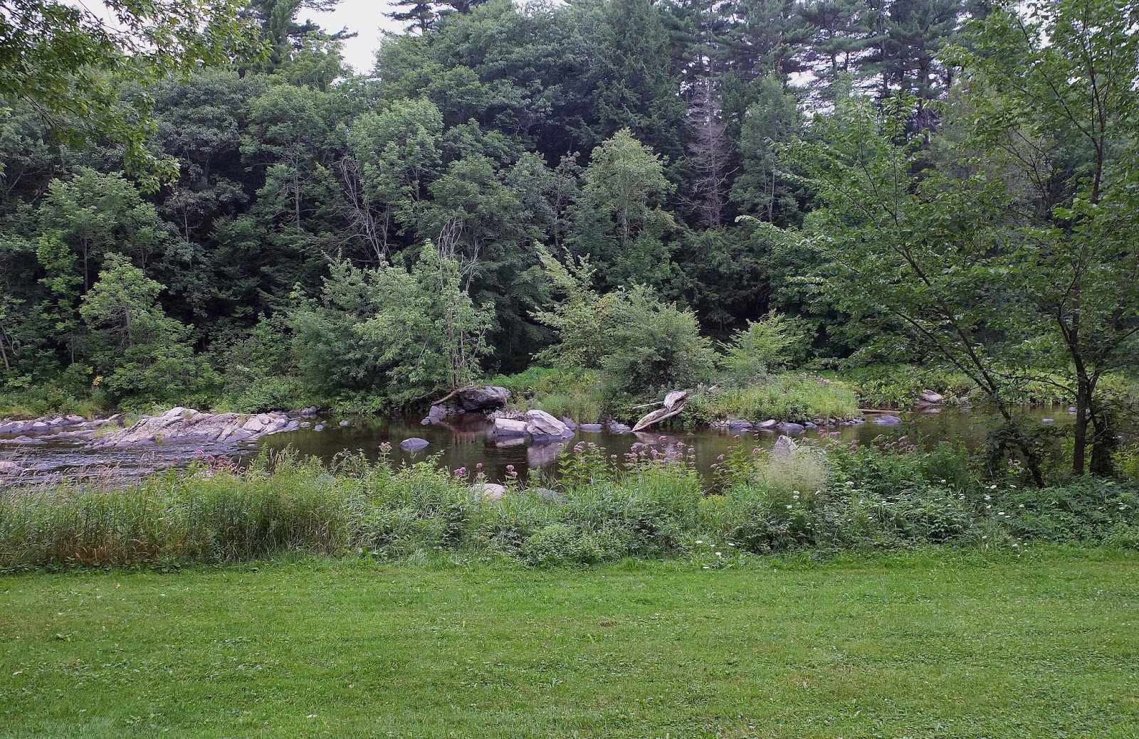 Hiking in Maine with Kelley 8/6/14 Kenduskeag Stream Trail