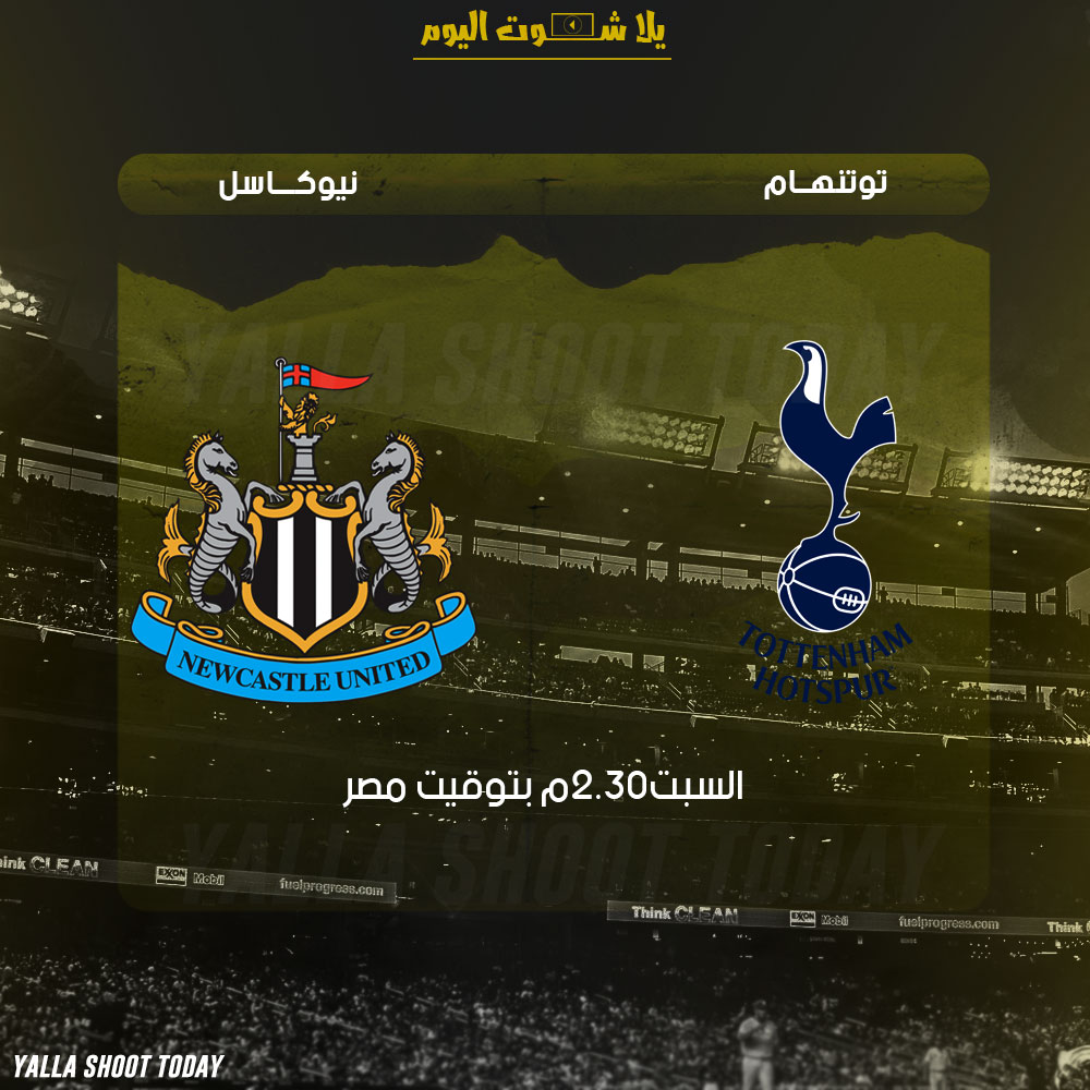 مشاهدة مباراة توتنهام ونيوكاسل بث مباشر 2-2 الدوري الإنجليزي 2019