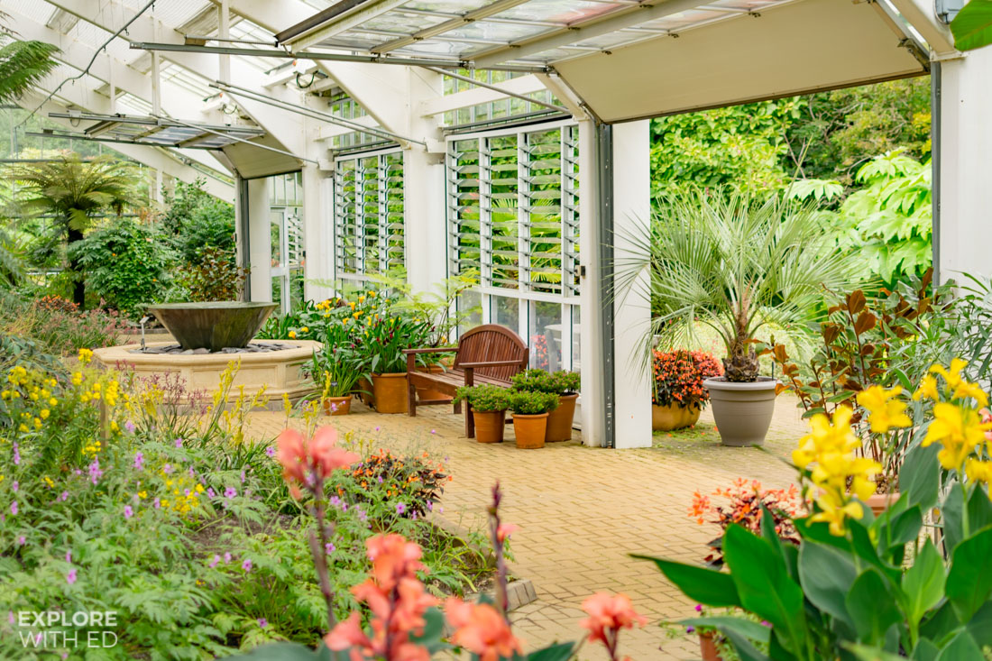 Tropical flowers and water feature in the Savill Garden temperate house