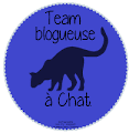 Team blogueuse à Chat