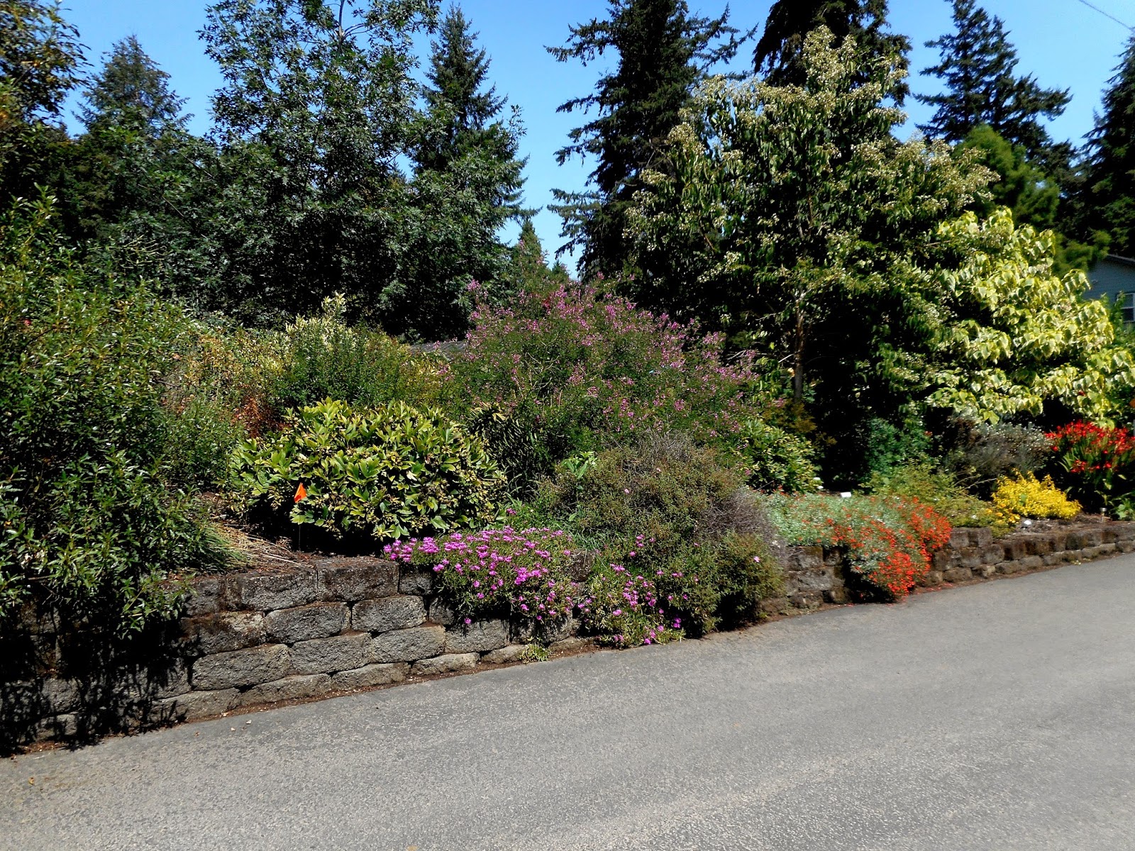 Gardening With Grace Garden Tour Sebright Gardens