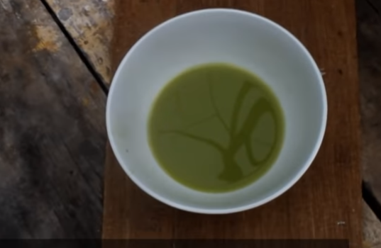 Cara Mudah Memperbesar Alat Kelamin dengan Menggunakan Daun Jarak Cara Mudah Memperbesar Alat Kelamin dengan Menggunakan Daun Jarak