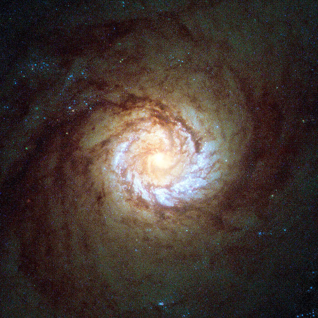 Starburst Barred Spiral Galaxy M61