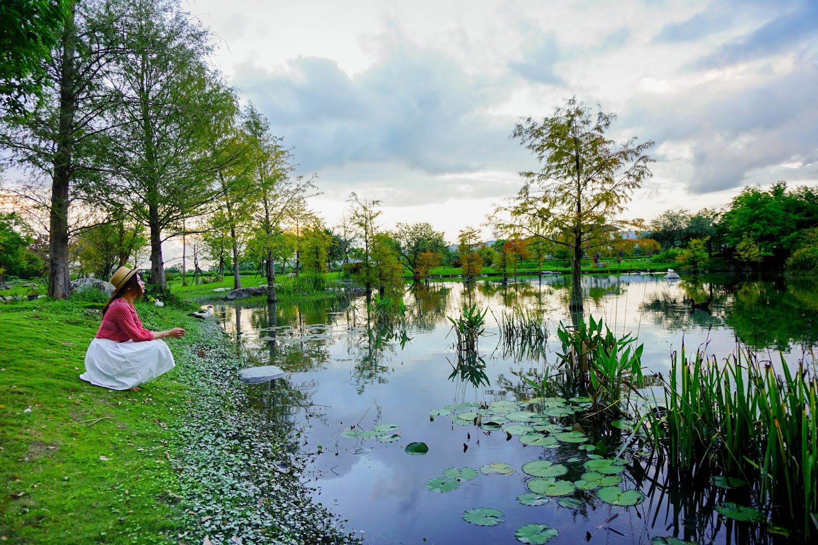 beautyanxiety.com-beautyanxiety.com-cultural-park-forest-DSC08856.jpg