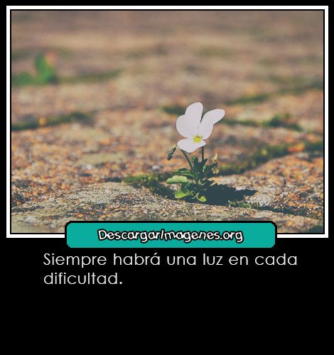 Dios mensajes para compartir.