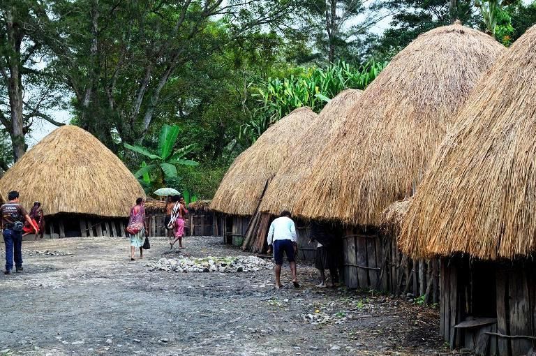 Rumah Adat Papua Barat dan Timur Honai