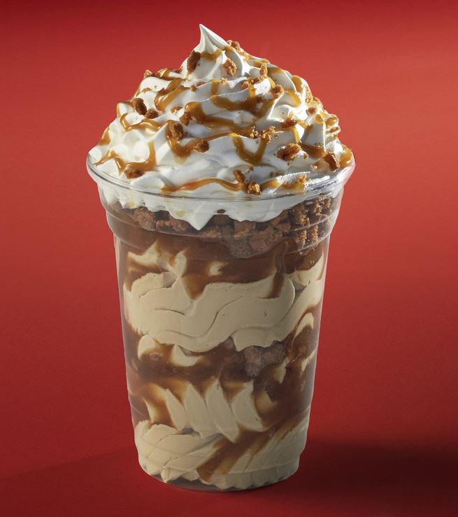 Carvel Limited Edition Cookie Butter Ice Cream New York For Beginners