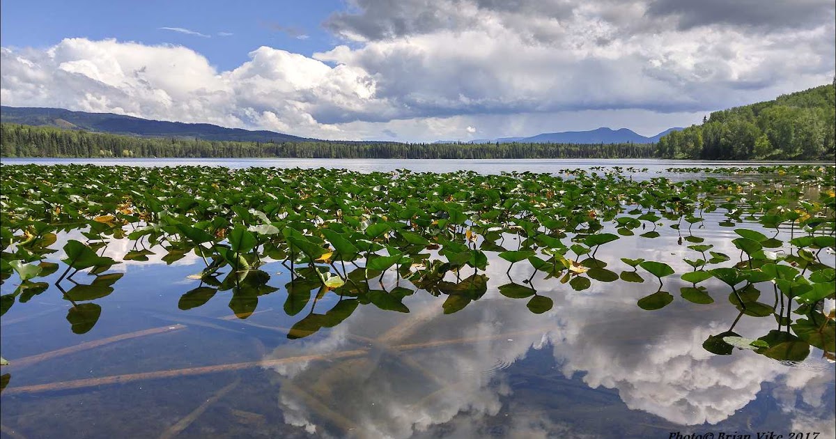 Brian Vike’s British Columbia Photographs Klinger Lake Houston British