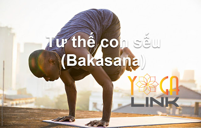 Tập Yoga sẽ giúp thay đổi cuộc đời Bạn