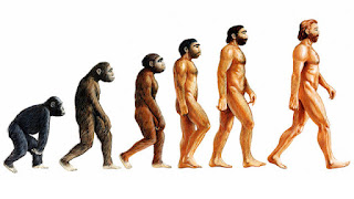teori evolusi darwin