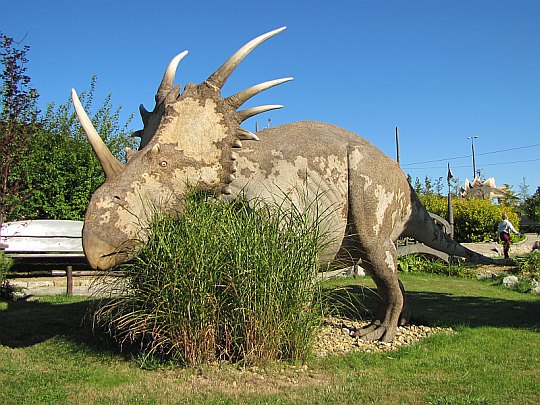 Styrakozaur (Styracosaurus)