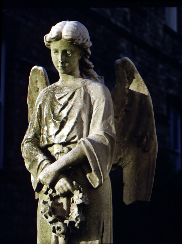 Geography 12 Rocks Acid Rain Erosion