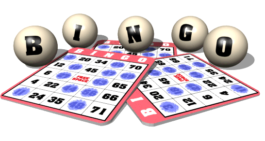video bingo online