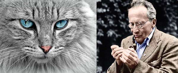 El gato de Schrödinger: una nueva versión. El gato de Schrödinger: una nueva versión.