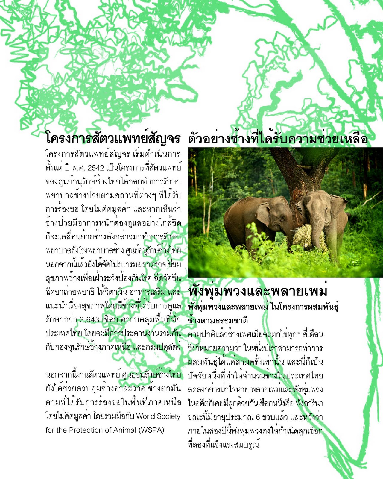 My Image 25