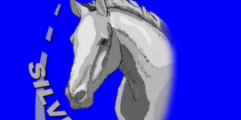 Lowongan Kerja Silver Horse Travel