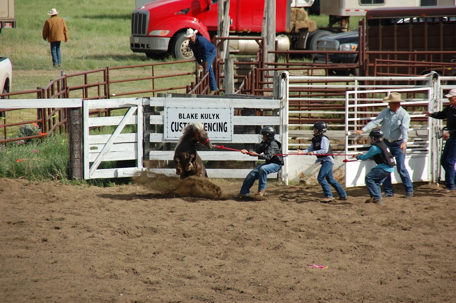 En rejsedagbog: Buffalo Rodeo