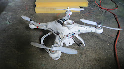 drone cat eyes woman maple falls