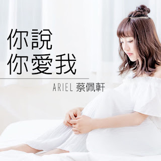 Ariel Tsai 蔡佩軒 - You Said You Love Mei 你說你愛我 (Ni Shuo Ni Ai Wo) Lyrics 歌詞 with Pinyin