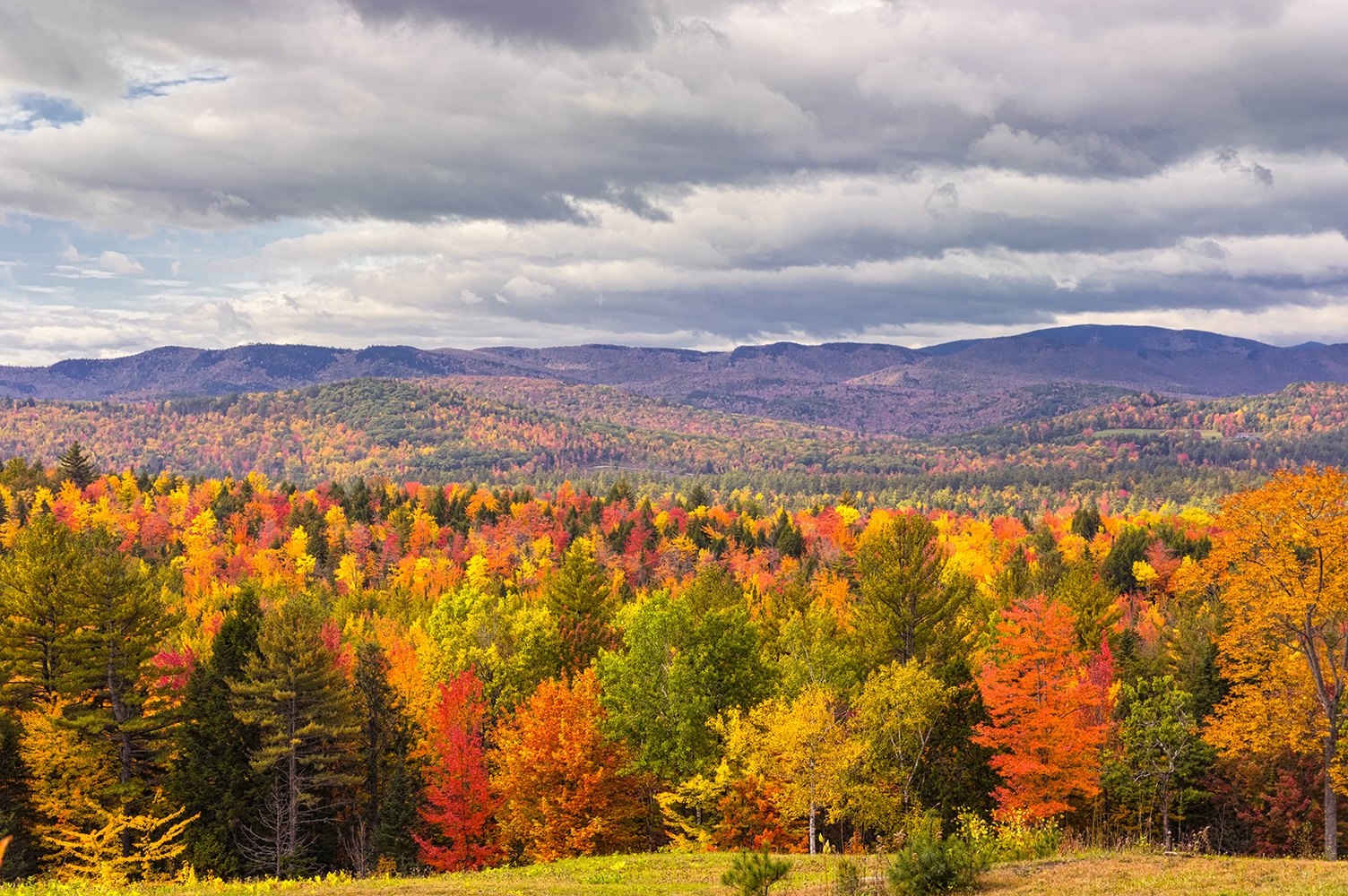 photo quest Headed back to Western Maine for peak foliage this week!