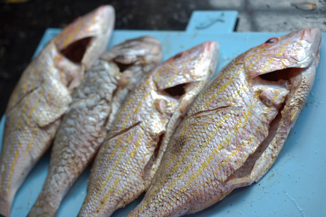 Greedy Girl Jamaican Brown Stew Fish