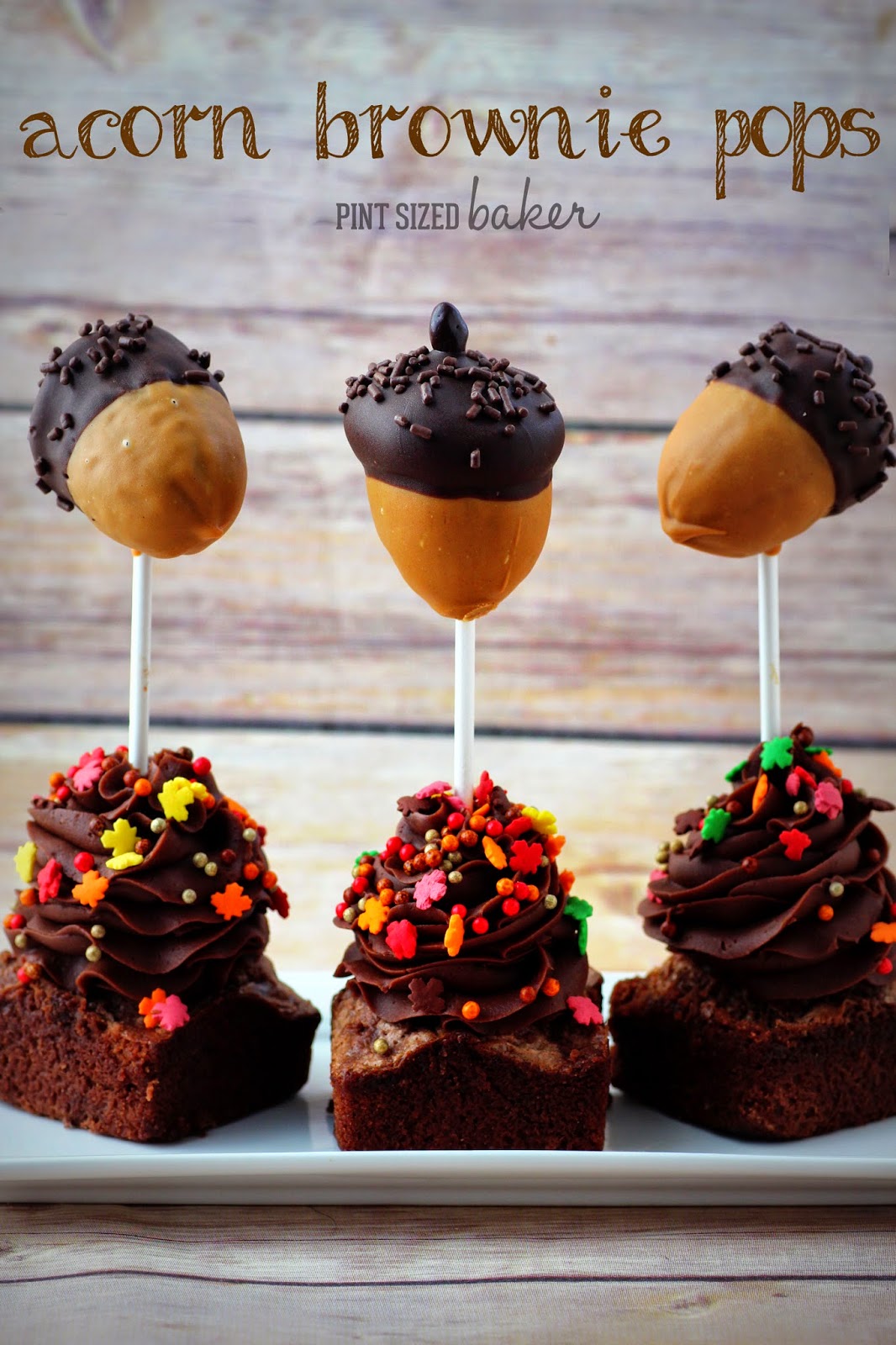 Brownies made fun!! Turn your basic brownie mix into fun Acorn Brownie Pops! These are so easy to make and the kids love them!