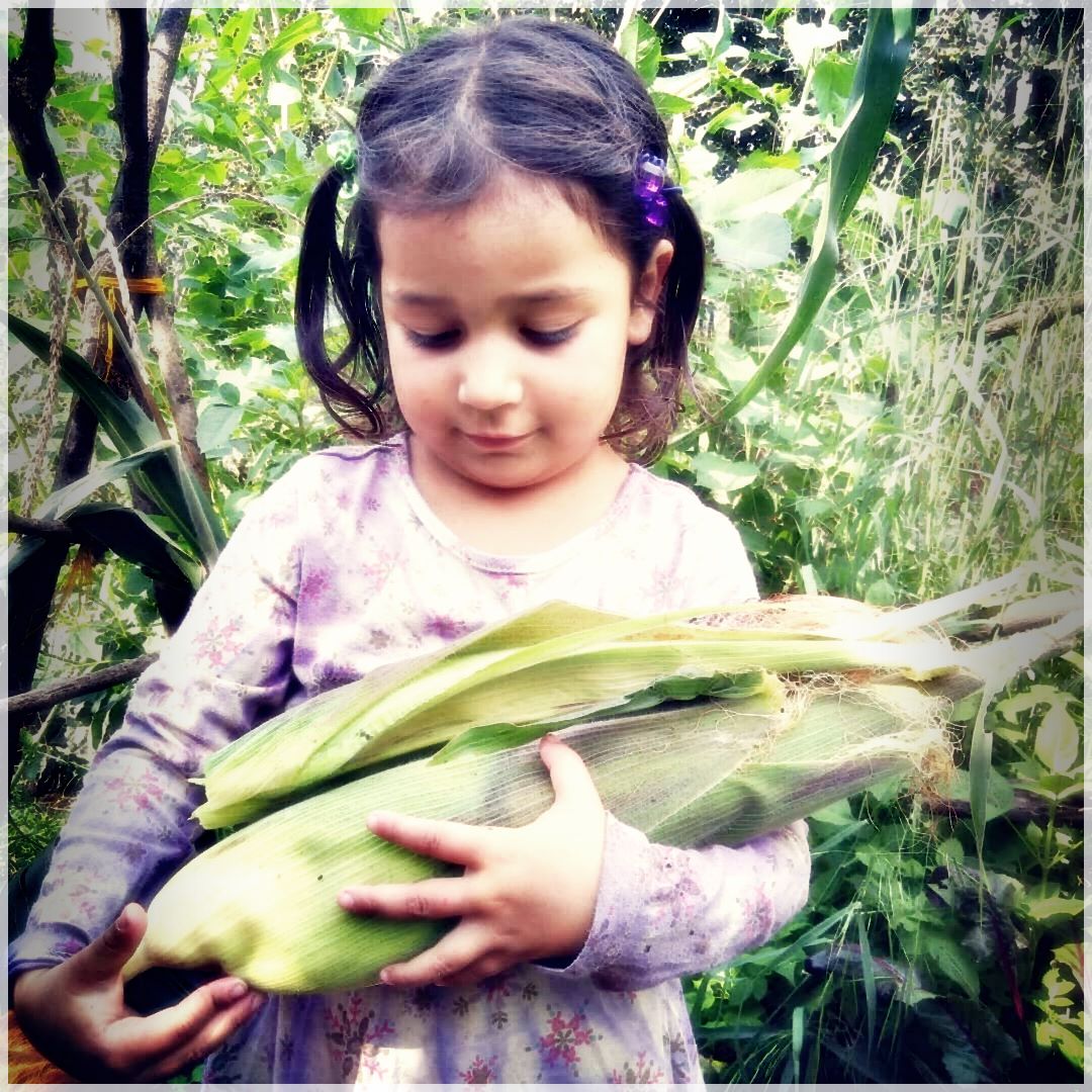 GrowSomething-24403961748