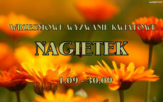 Wyzwanie kwiatowe Nagietek