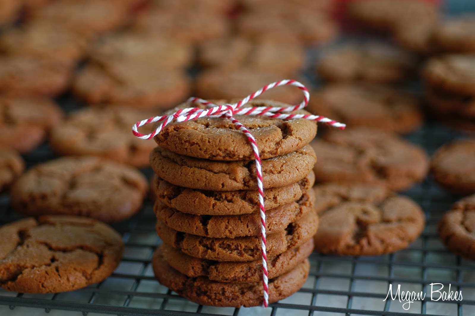 Megan Bakes Molasses Crinkles