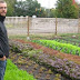 Canadian Urban Farmer Grows 50,000 Lbs Of Food On Less Than 1 Acre Of Land