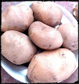 рдЖрд▓ू (potato) рдЖрд▓ू рдоें рдкाрдП рдЬाрдиे рд╡ाрд▓े рдкौрд╖рдХ рддрдд्рд╡ों рдХा рд╡рд░्рдгрди рдФрд░ рдЖрд▓ू рдХे рдлाрдпрджे