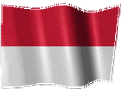 The Republic of Indonesia Flag