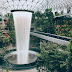 Singapore’s Gardens by the Bay
