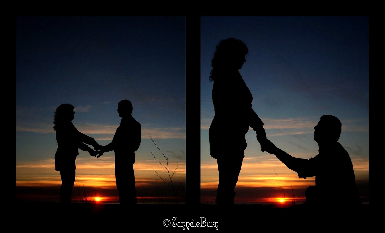 Degrees of Life: Marry Me