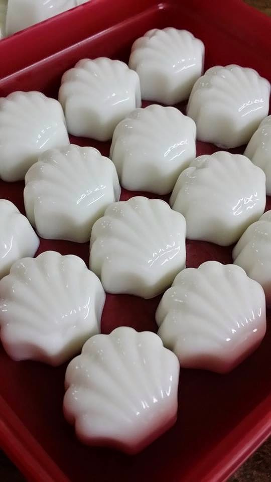 Coconut Milk Pudding Recipe By Fiona Low Baking's Corner