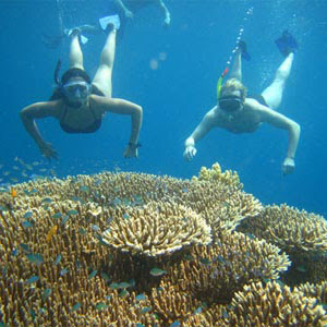 Travel Pulau Pari - Paket Pulau Pari Saulendra Tours Travel Pulau Pari - Paket Pulau Pari Saulendra Tours