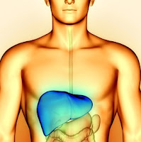 Hepatitis C síntomas tratamientos riesgos salud Hepatitis C síntomas tratamientos riesgos salud